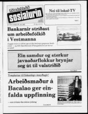Síða 1