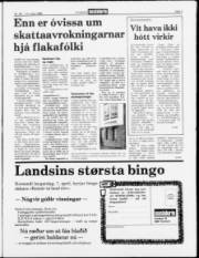 Síða 3
