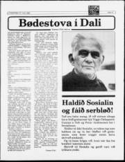 Síða 11
