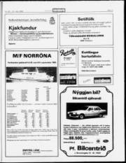 Síða 17