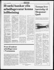 Síða 3