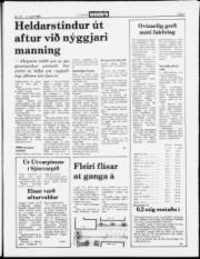 Síða 5