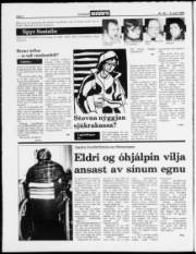 Síða 2