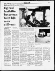 Síða 3