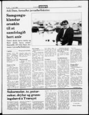 Síða 7
