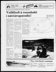 Síða 24