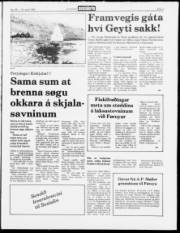 Síða 3