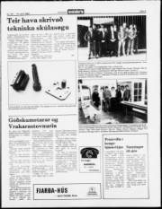 Síða 5