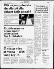 Síða 3
