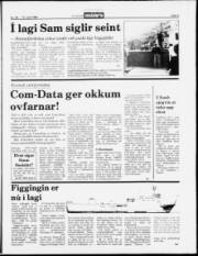 Síða 5