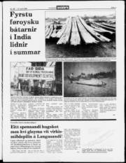 Síða 3
