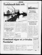 Síða 5