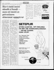 Síða 19