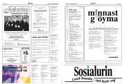 Síða 15