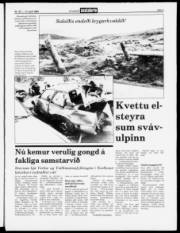 Síða 3