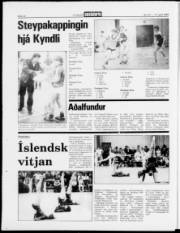 Síða 10