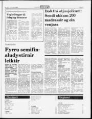 Síða 11