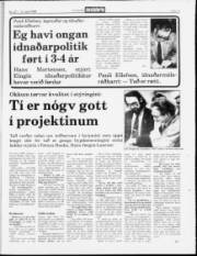 Síða 13