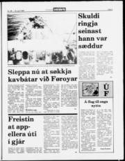 Síða 5