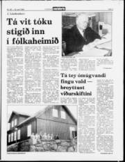 Síða 7
