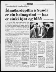 Síða 8