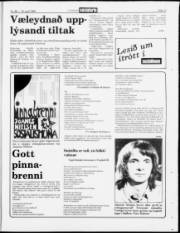 Síða 17