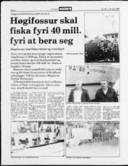 Síða 8
