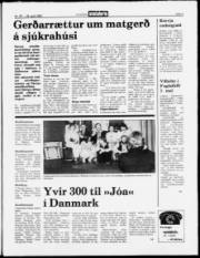 Síða 5