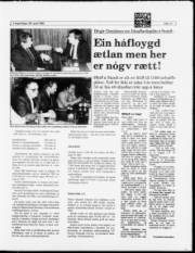 Síða 11