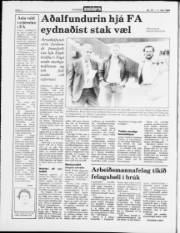 Síða 2
