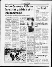 Síða 3