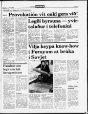 Síða 13