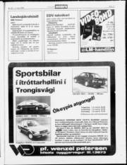 Síða 17