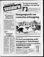 Síða 1