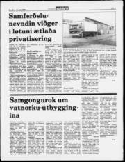 Síða 3
