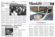 Síða 11
