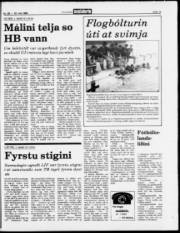 Síða 13