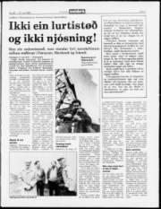 Síða 3