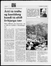 Síða 10