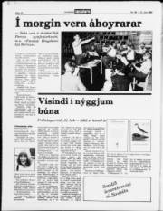 Síða 14