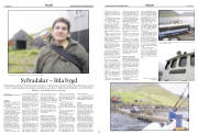 Síða 14