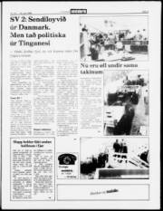 Síða 5