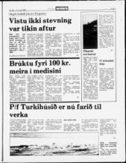 Síða 5