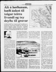 Síða 10