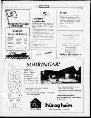Síða 17