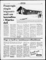 Síða 3
