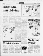 Síða 8