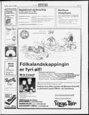 Síða 13