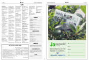 Síða 23