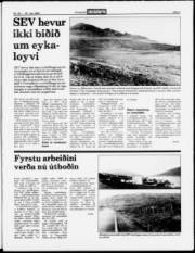 Síða 3